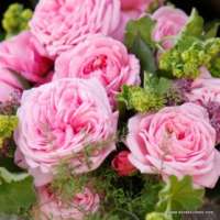 Rosengrafin Marie Henriette Rosengrafin Marie Henriette